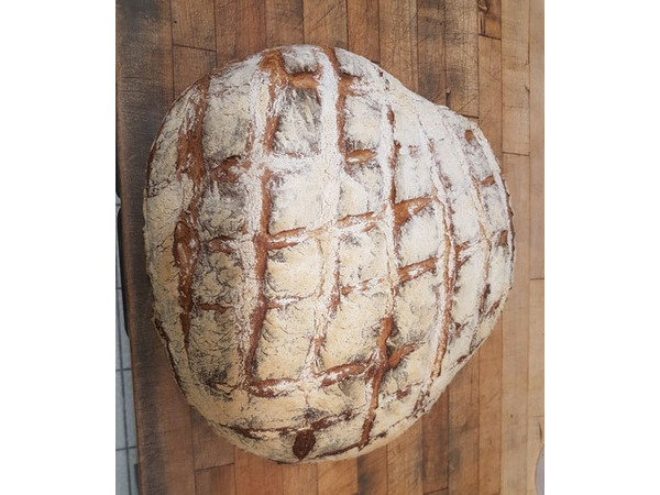 Gros rustique blanc, 1.5kg <BR> sur commande 2 jours avant