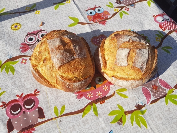 Pain Kamut 100%, 500g<BR> sur commande le jour précédent