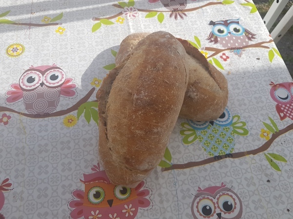 Pain alpage aux noix de grenoble et canneberge, 500g <BR> sur commande 2 jours avant